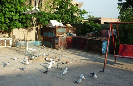 Anubandh building view 16